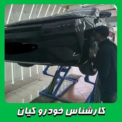 تشخیص رنگ کیان